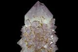 Large, Cactus Amethyst Point - South Africa #78660-2